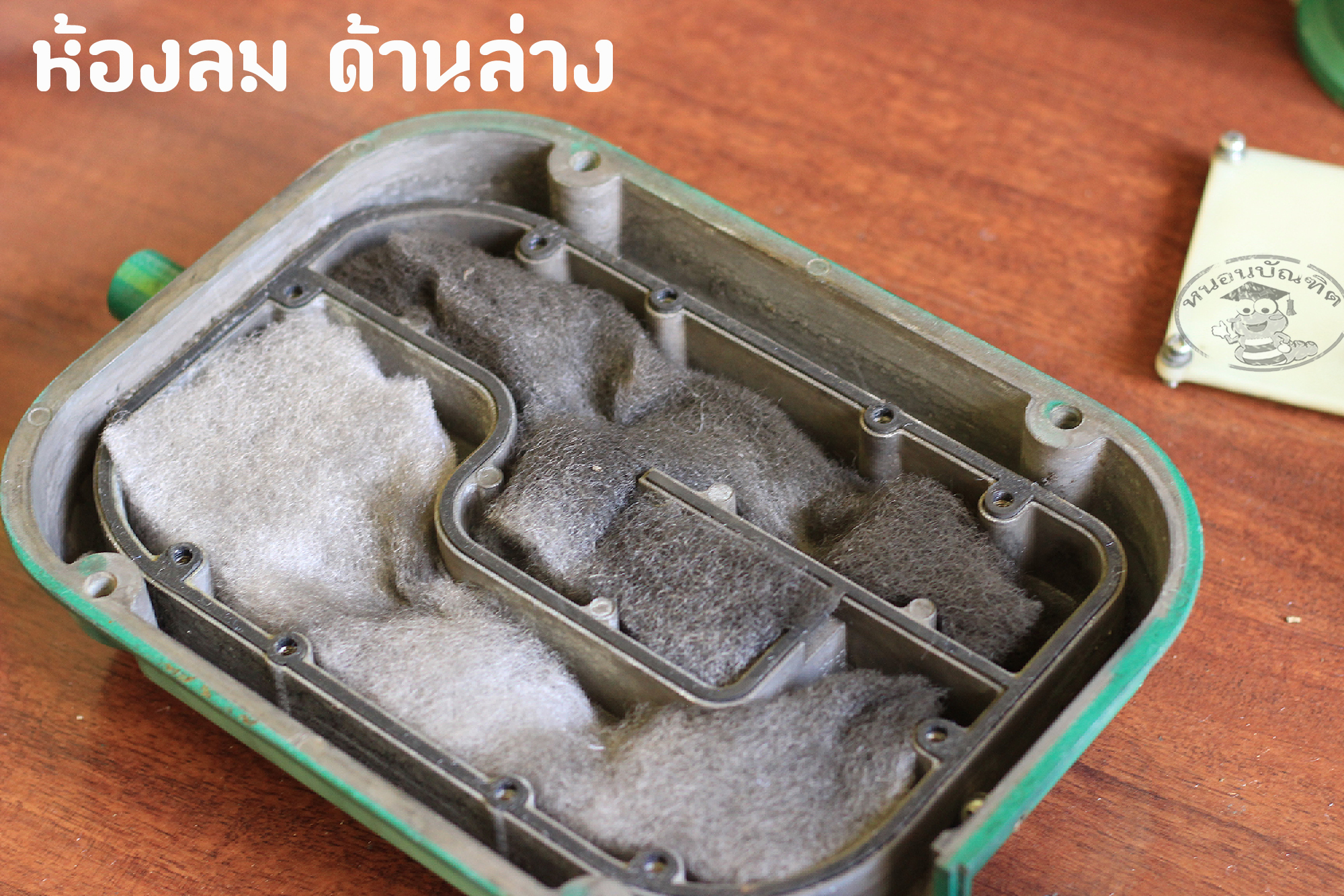 IMG_2936 – หนอนบัณฑิต